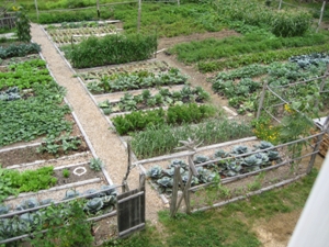 The Hostel Homesteader’s August Image